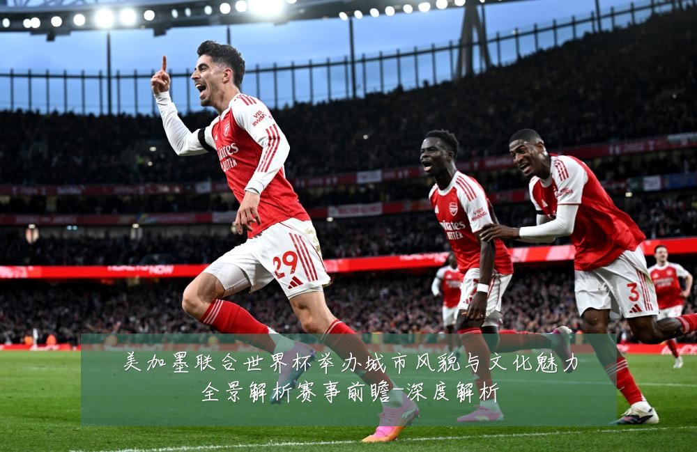 美加墨联合世界杯举办城市风貌与文化魅力全景解析赛事前瞻-深度解析