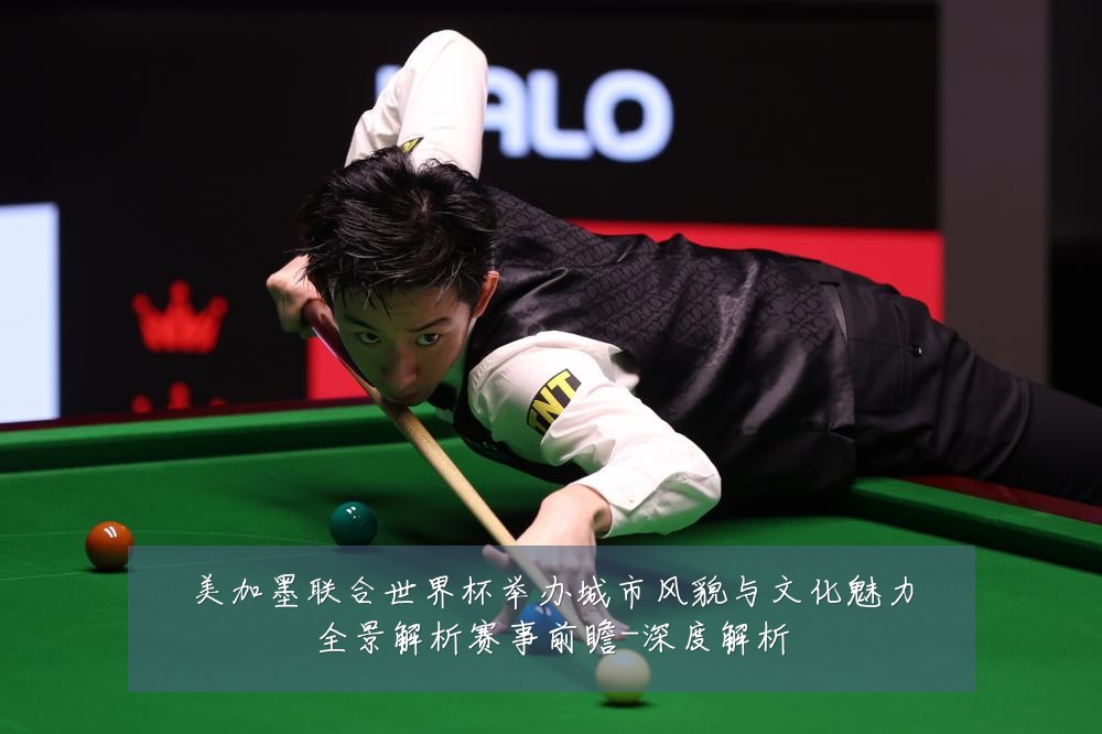 美加墨联合世界杯举办城市风貌与文化魅力全景解析赛事前瞻-深度解析